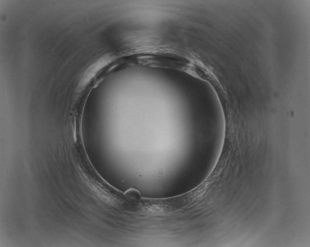 X0000078240062200611031120