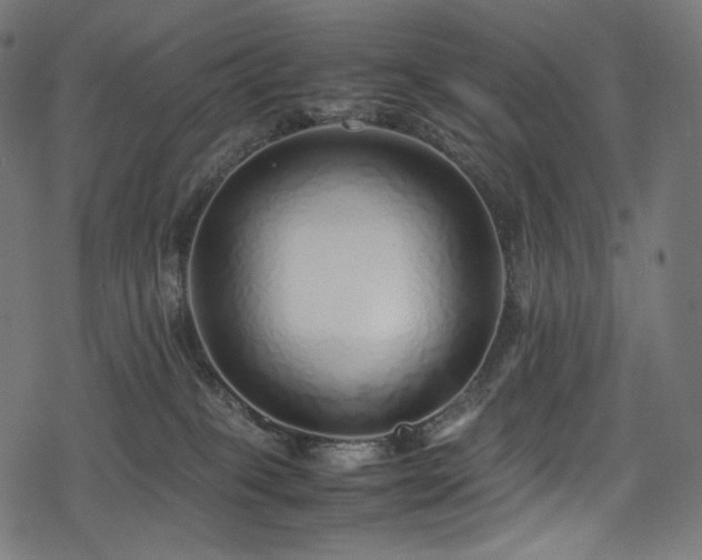 X0000078240085200611031120