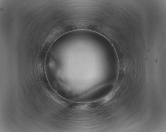 X0000078240086200611031120
