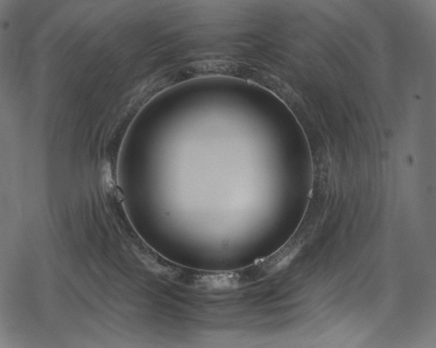 X0000078240089200611031120