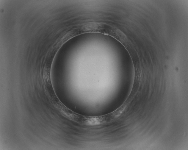 X0000078240091200611031120