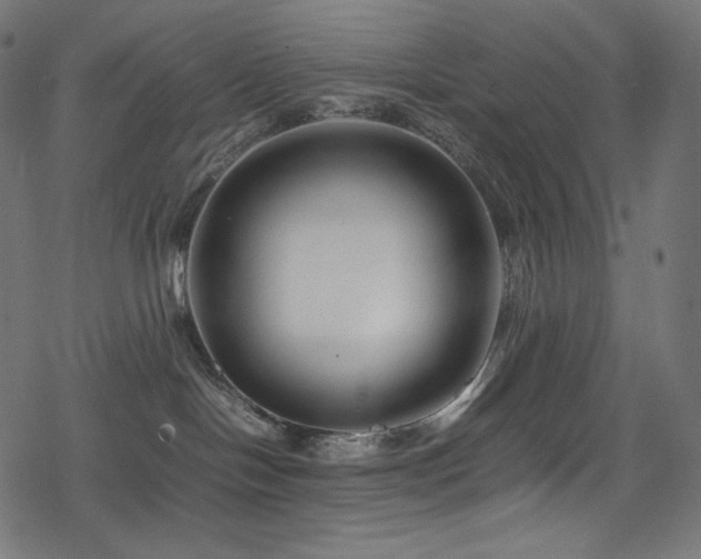 X0000078240094200611031121