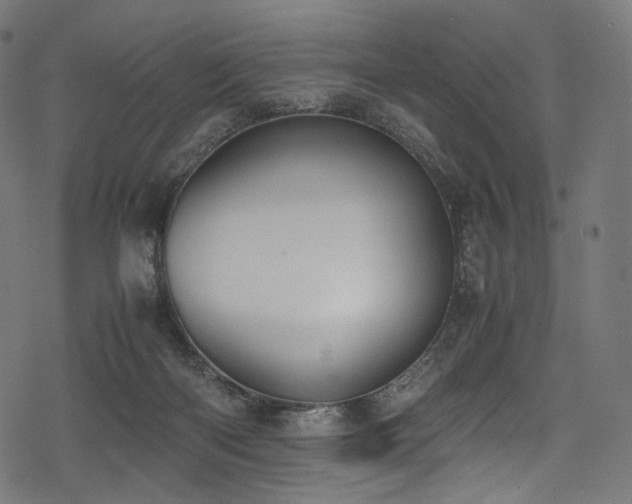 X0000078240122200611031119