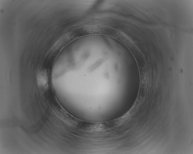 X0000078240124200611031119