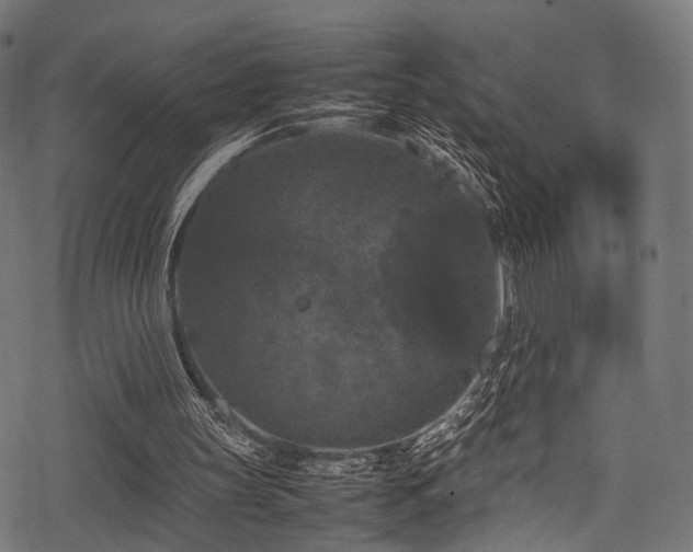 X0000078240147200611031118