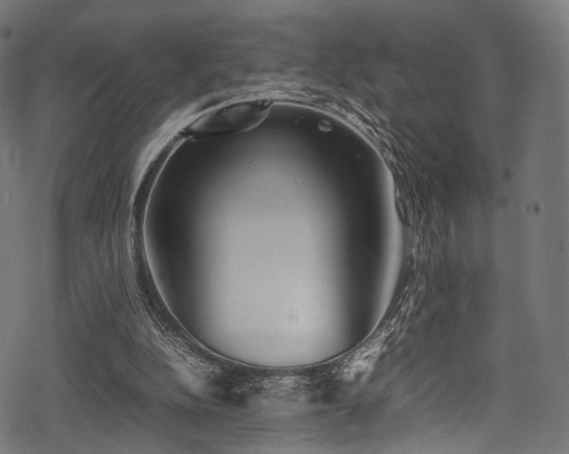 X0000078240152200611031118
