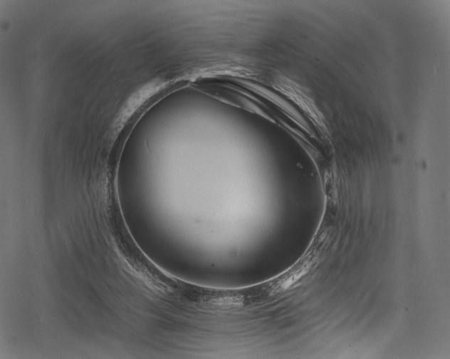 X0000078240156200611031118