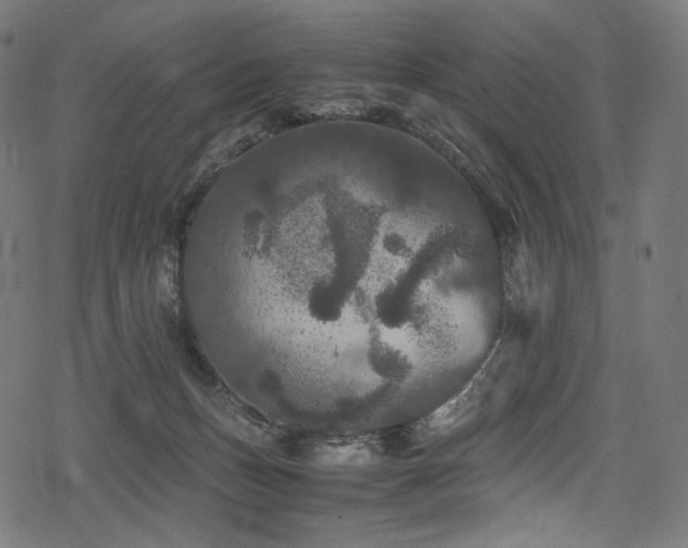 X0000078240175200611031119
