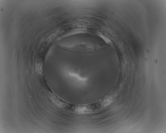 X0000078240177200611031119