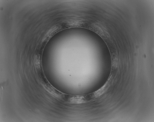 X0000078240179200611031119