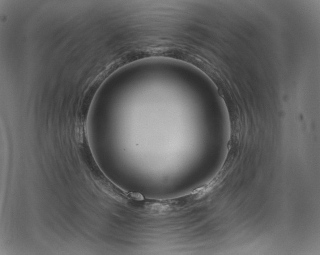 X0000078240180200611031119