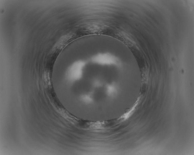 X0000078240182200611031119