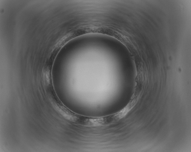 X0000078240188200611031119