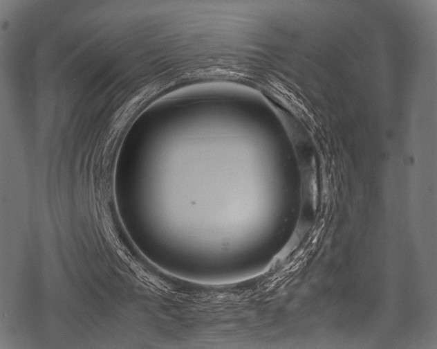 X0000078240193200611031118