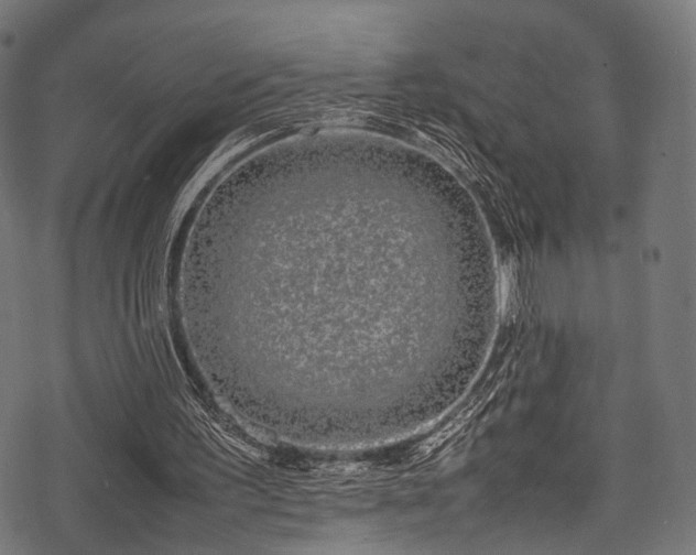 X0000078240195200611031118
