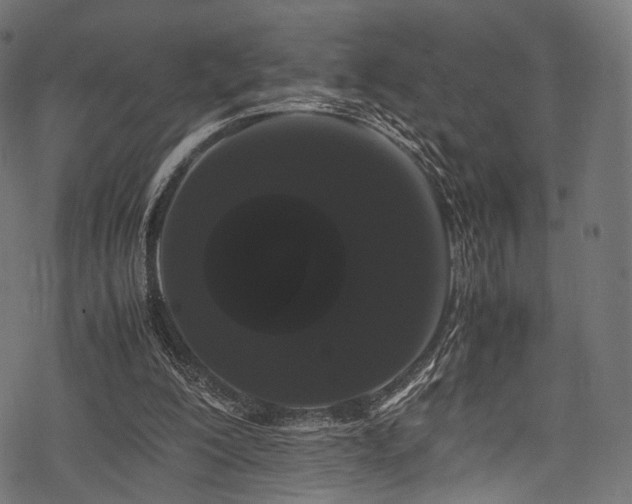 X0000078240200200611031118