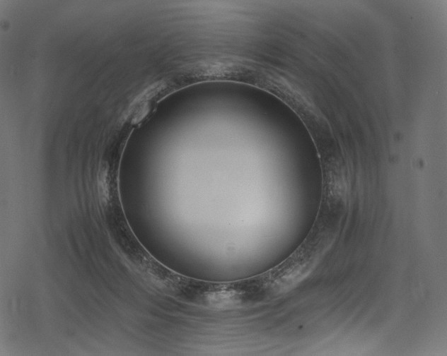 X0000078240216200611031118