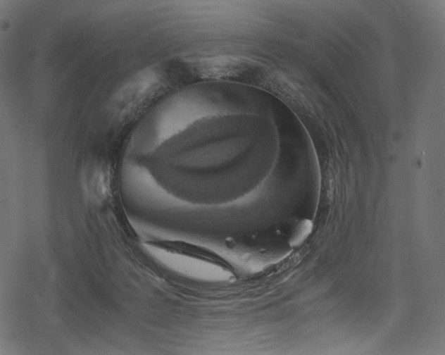 X0000078240219200611031118