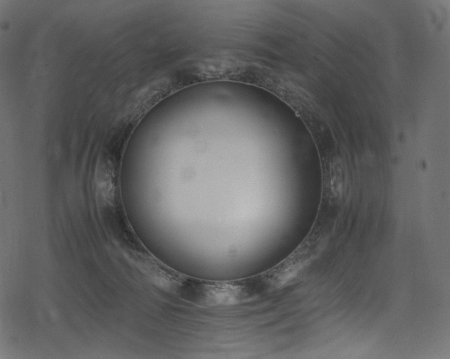 X0000078240226200611031118