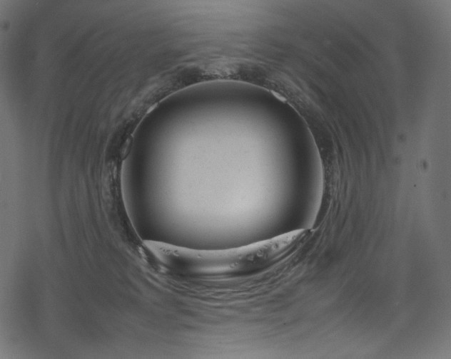 X0000078240229200611031118