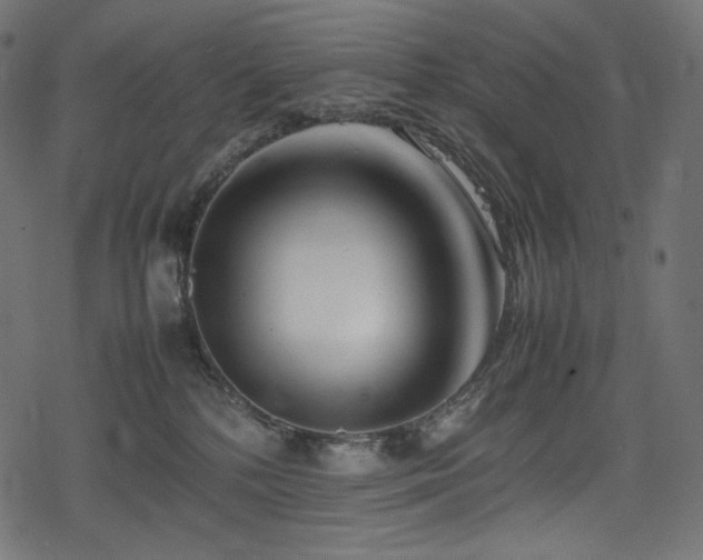 X0000078240232200611031118