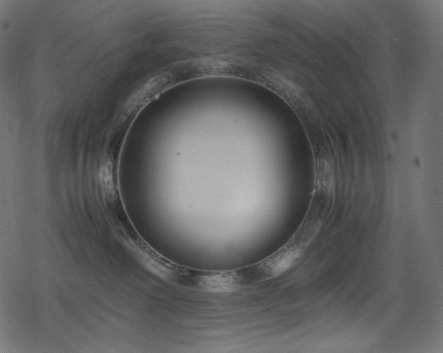 X0000078240238200611031118