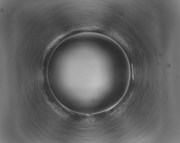 X0000078240252200611031117