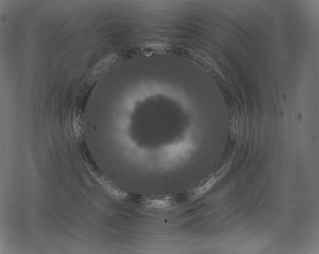 X0000078240285200611031117
