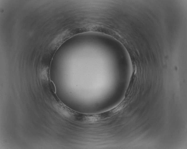 X0000078240286200611031117