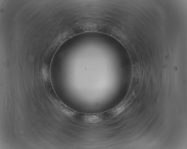 X0000078240287200611031117