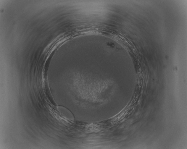 X0000078240290200611031117