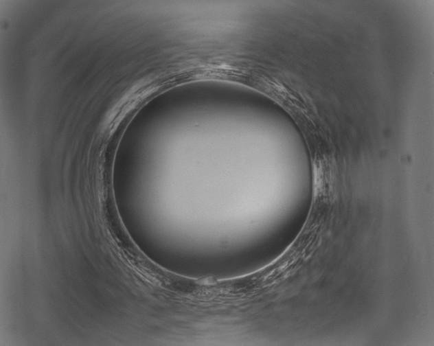 X0000078240291200611031117