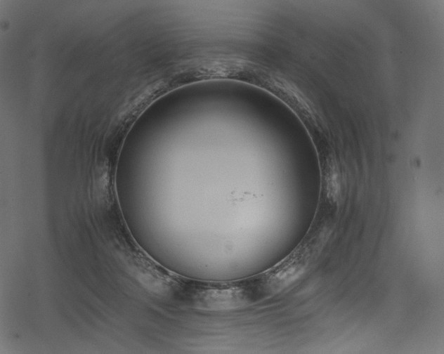 X0000078240314200611031116