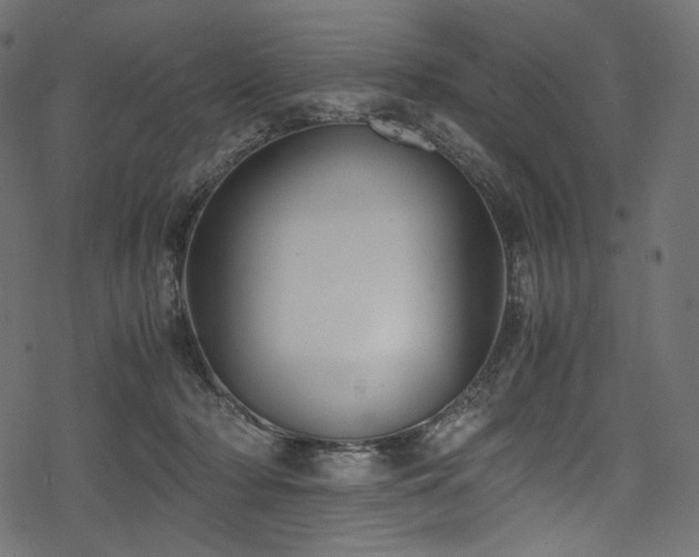 X0000078240318200611031116