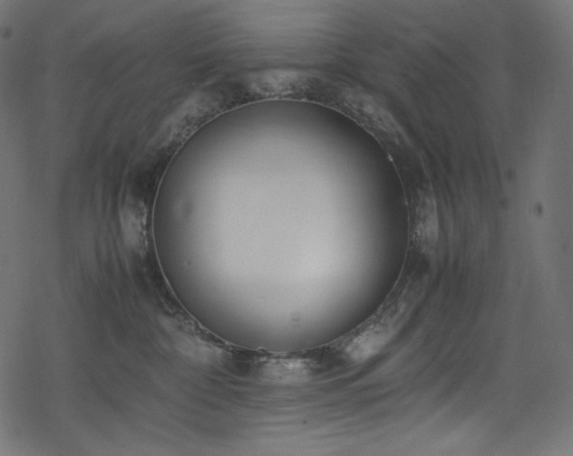 X0000078240332200611031116