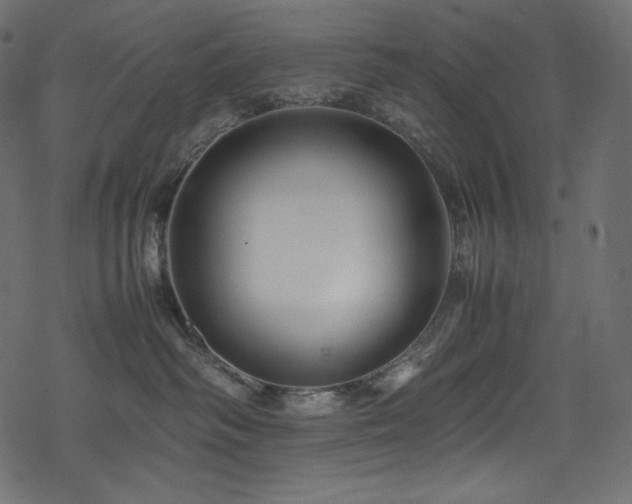 X0000078240334200611031116