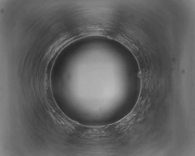 X0000078240338200611031115