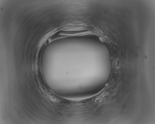 X0000078240340200611031115