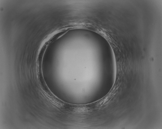 X0000078240342200611031115