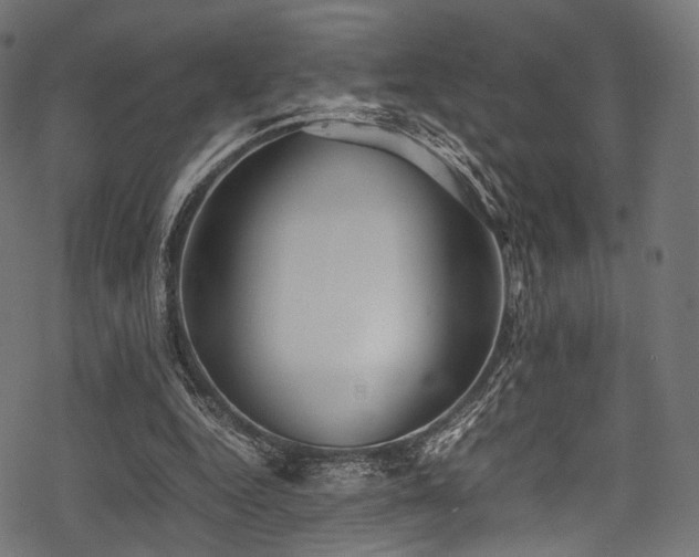 X0000078240344200611031115