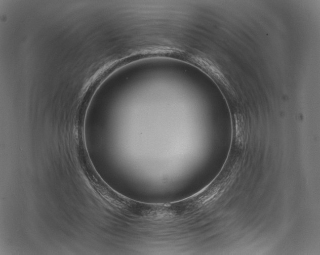 X0000078240348200611031115