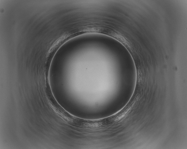 X0000078240349200611031115