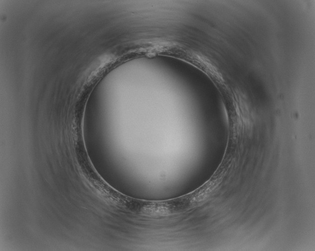 X0000078240354200611031115
