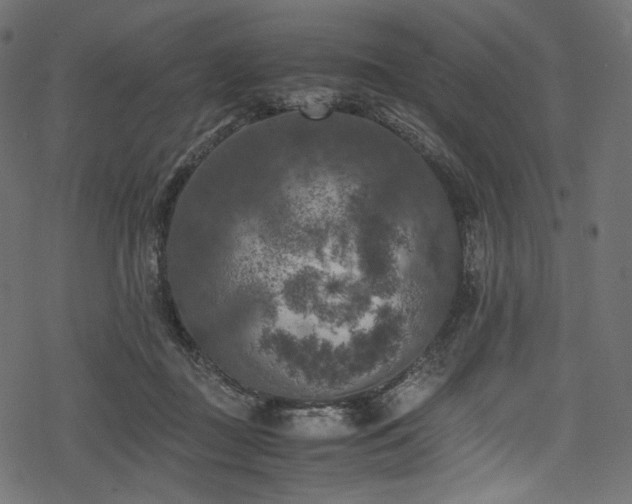 X0000078240363200611031116