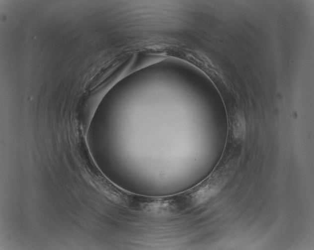X0000078240366200611031116