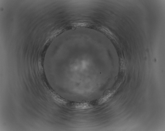 X0000078240377200611031116