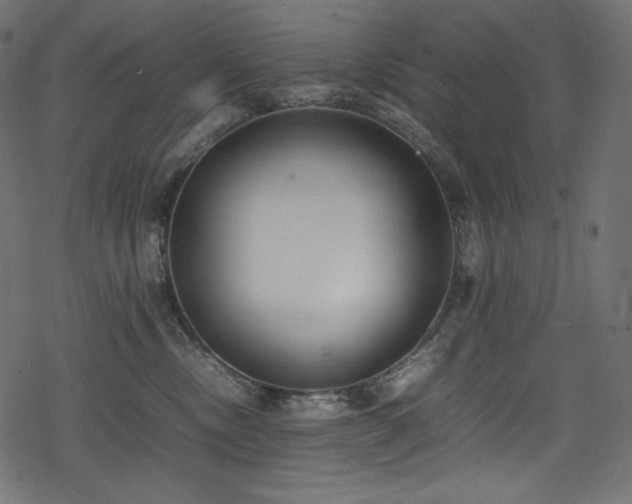X0000078240378200611031116