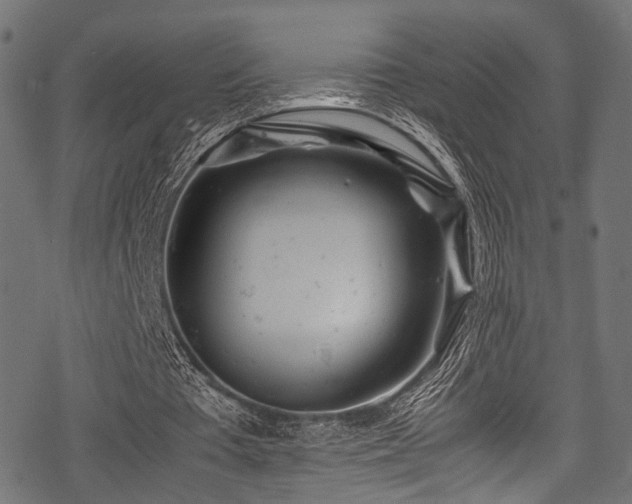 X0000078240385200611031115