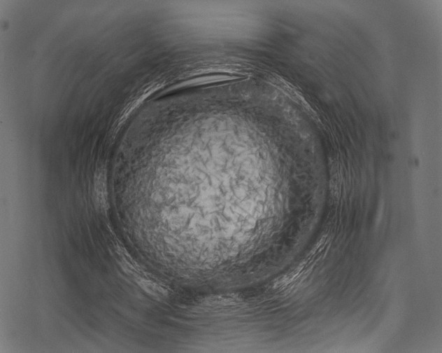 X0000078240386200611031115