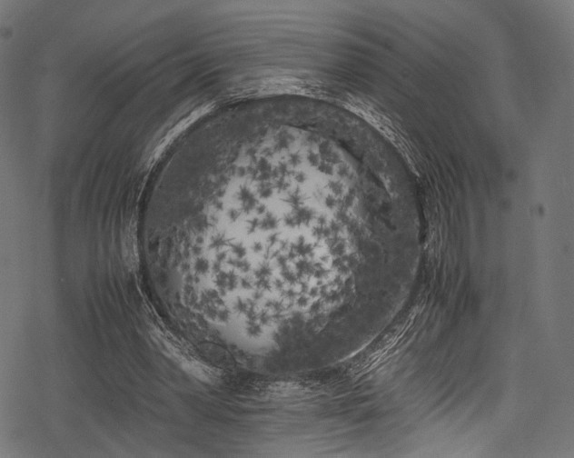 X0000078240390200611031115